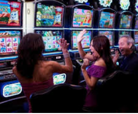 AG飞禽走兽多人版2024最新版